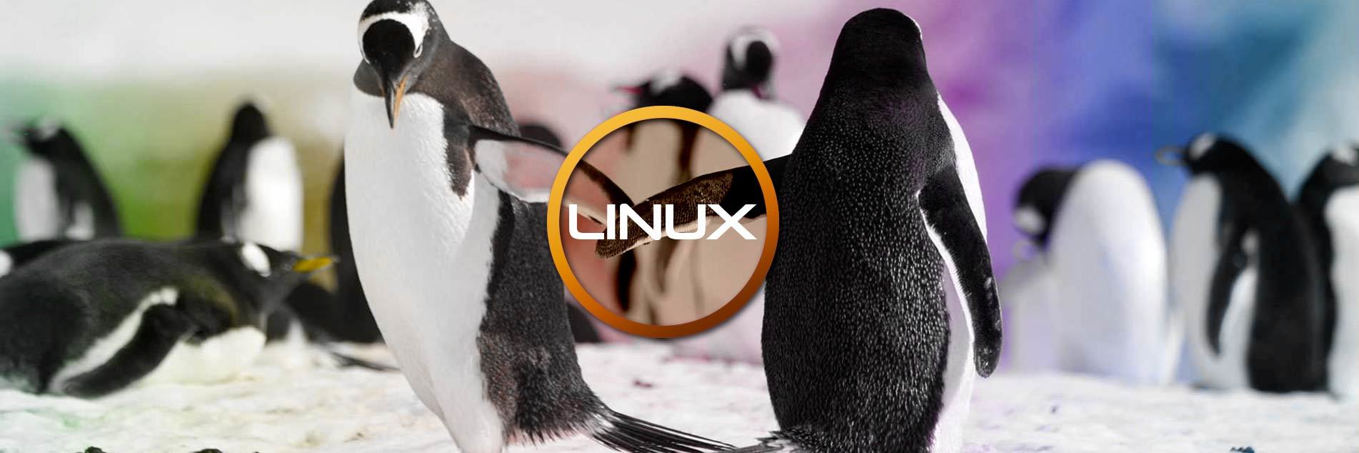 Linux