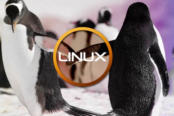 Linux